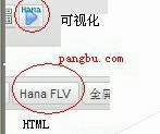 在WordPress中安装使用视频播放器插件Hana Flv Player