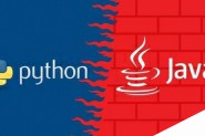 Java和Python的算法和数据结构面试问题