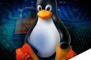 Linux主机安全检查与应急响应