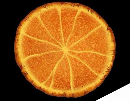 ps怎么画切开的橙子? ps画可口橙子的教程