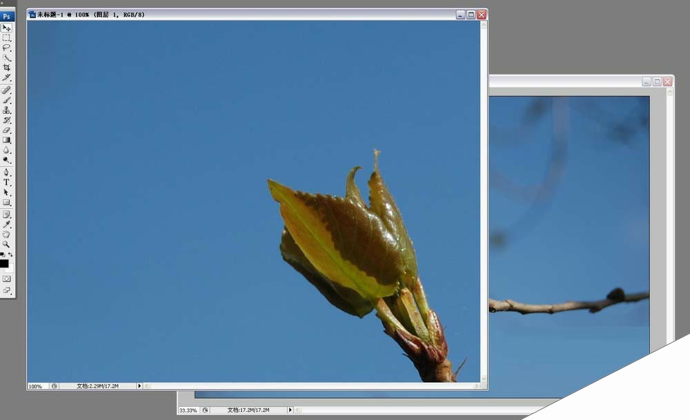 PhotoShop制作树枝冲出画面的三维立体视觉效果教程