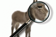 PS教程：制作有趣的放大镜扫视小毛驴图片动画效果教程