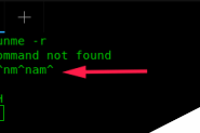 Linux 中纠正拼写错误的Bash 命令方法