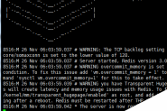 linux虚拟机上安装配置redis3.0.7