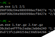 linux 比较两个文件夹diff不同 (diff命令, md5列表)
