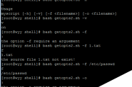 Shell脚本中使用getopts处理多命令行选项