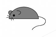 画图工具怎么画老鼠? 画图软件画小老鼠的教程