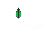 电脑画图工具怎么画绿色的树叶?