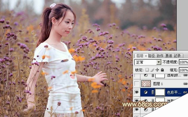 ps把野花丛中的美女照片调出淡褐色的韩系效果教程