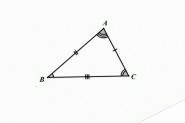 几何画板怎么用线段标记三角形的边和角?
