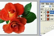 怎样用Photoshop制作彩色玫瑰