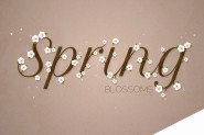 Photoshop制作桃花装饰的春季spring艺术字教程