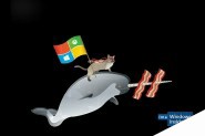 微软Win10 Insider壁纸下载：骑独角鲸、恐龙的忍者猫壁纸