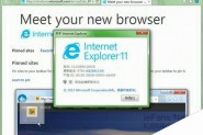 IE11 For Win7、win2008中文版官方下载地址