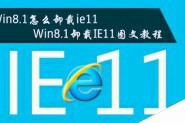 Win8.1怎么卸载ie11浏览器？Win8.1系统卸载IE11图文教程介绍