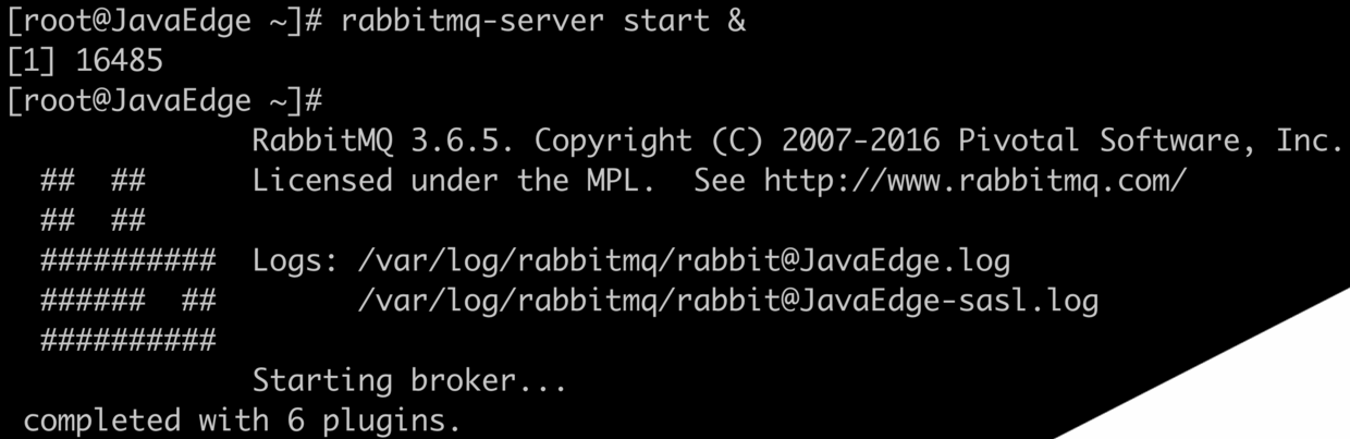 rabbitmq-server start &