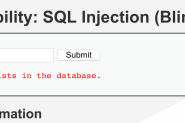 SQL盲注实例教程