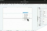 LibreOffice文件怎么快速插入页码?