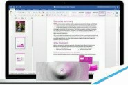 微软Office 2016 for Mac怎么更新? 修复bug/支持Outlook全屏