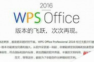 WPS Office 2016专业版永久激活码分享 付费版序列号大全