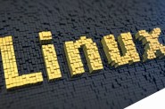 Linux软件安装到指定目录方法