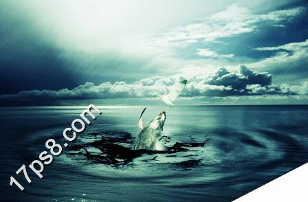 photoshop将合成鲸鱼越出水面掠夺海鸥食物场景效果