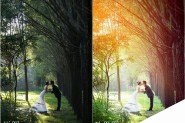如何用PS调出树林婚纱唯美彩虹渐变色效果图文教程