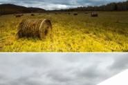 photoshop如何使用RAW格式插件将灰暗的草原调制出明亮的黄蓝色