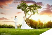 Photoshop后期调出唯美大气的夕阳婚片效果图