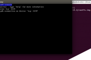 Linux 内核漏洞利用教程（二）：两个Demo