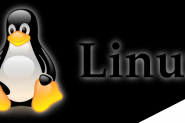 Linux 内核 ipv4/udp.c 远程任意代码执行(CVE-2016-10229)