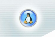 Linux环境变量设置方法总结 PATH、LD_LIBRARY_PATH
