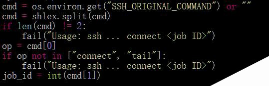 自定义构建交互式SSH应用程序，以Python为例