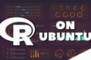 如何在Ubuntu上安装和使用R语言