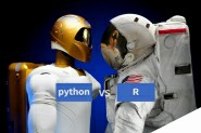 你爱 “Python”的身体，还是“R”的灵魂？
