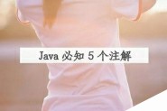 Java程序员必须掌握的5个注解！